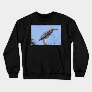 Green Heron Crewneck Sweatshirt